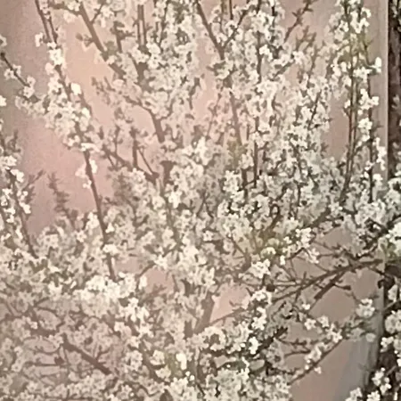 Nice + Sunny Room, Balkony, All Facilities... * Τρίερ